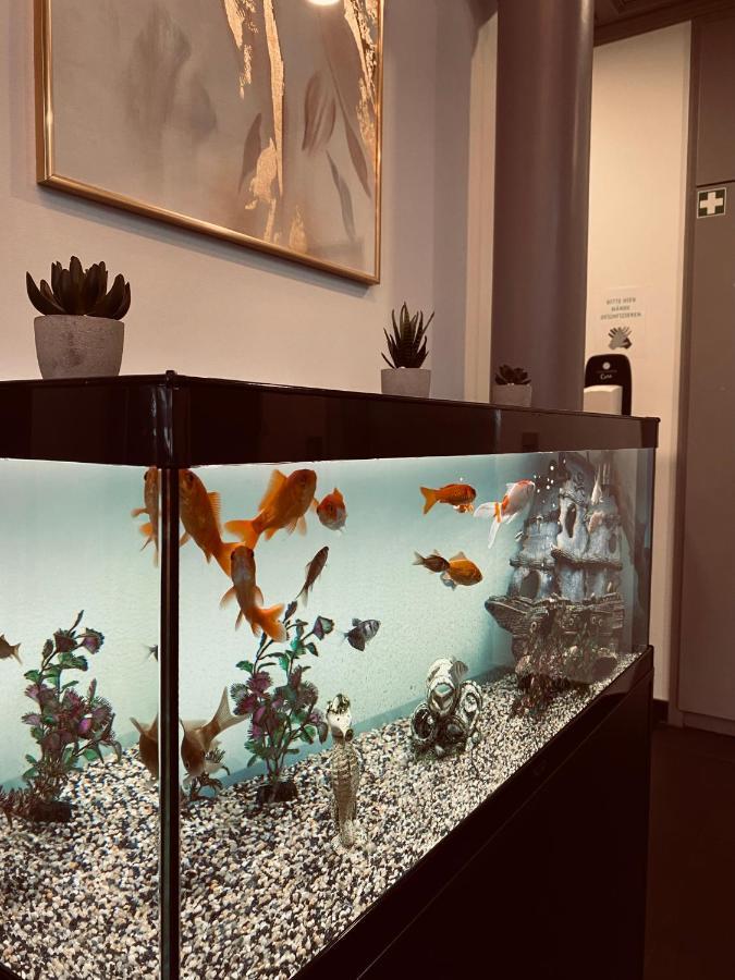 E&D Hotel Rodgau Zewnętrze zdjęcie